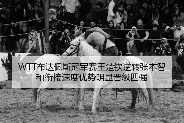 WTT布达佩斯冠军赛王楚钦逆转张本智和衔接速度优势明显晋级四强