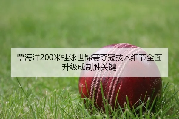 覃海洋200米蛙泳世锦赛夺冠技术细节全面升级成制胜关键